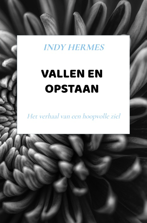 Boek