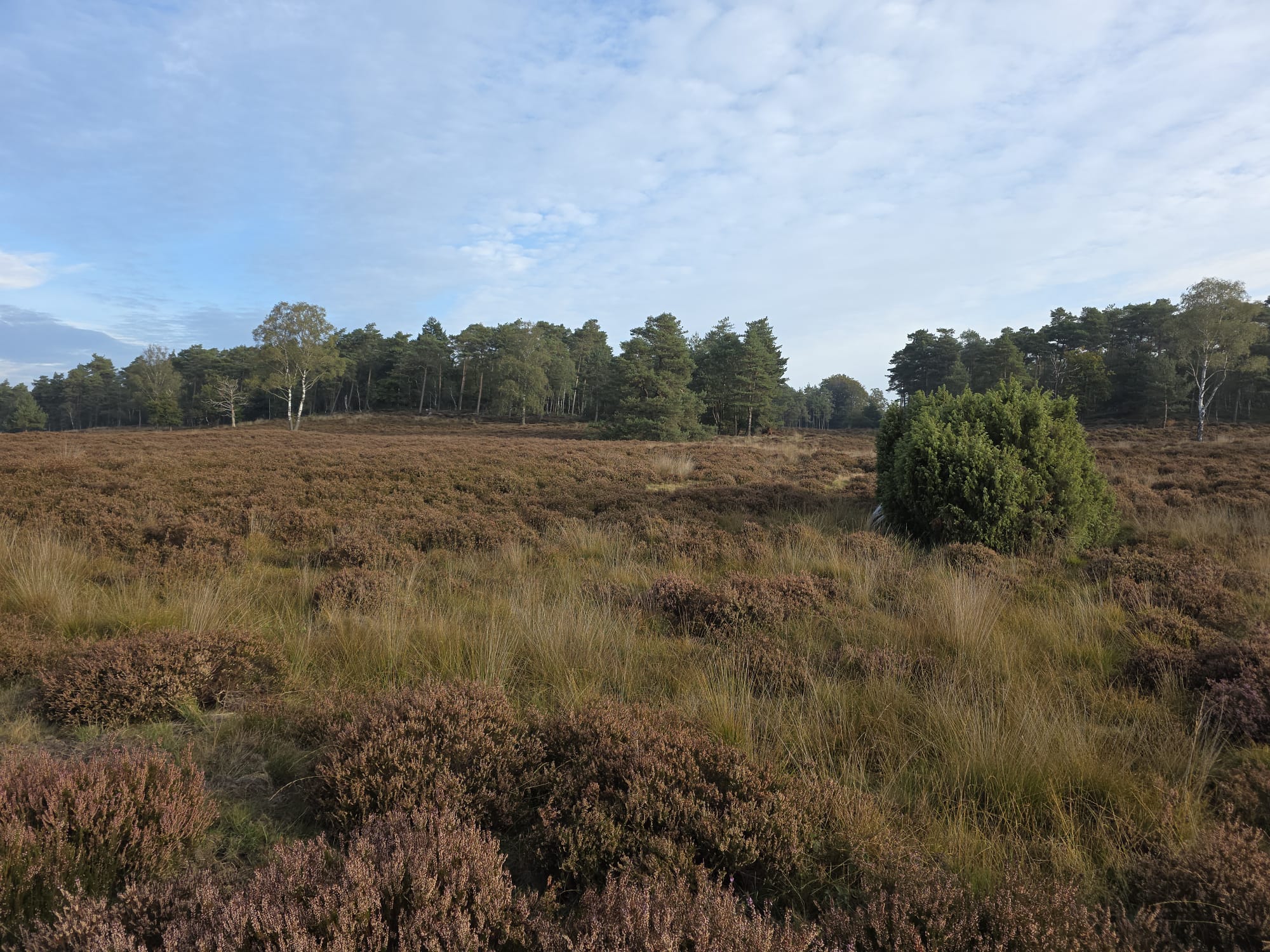 startpunt de molen slochteren